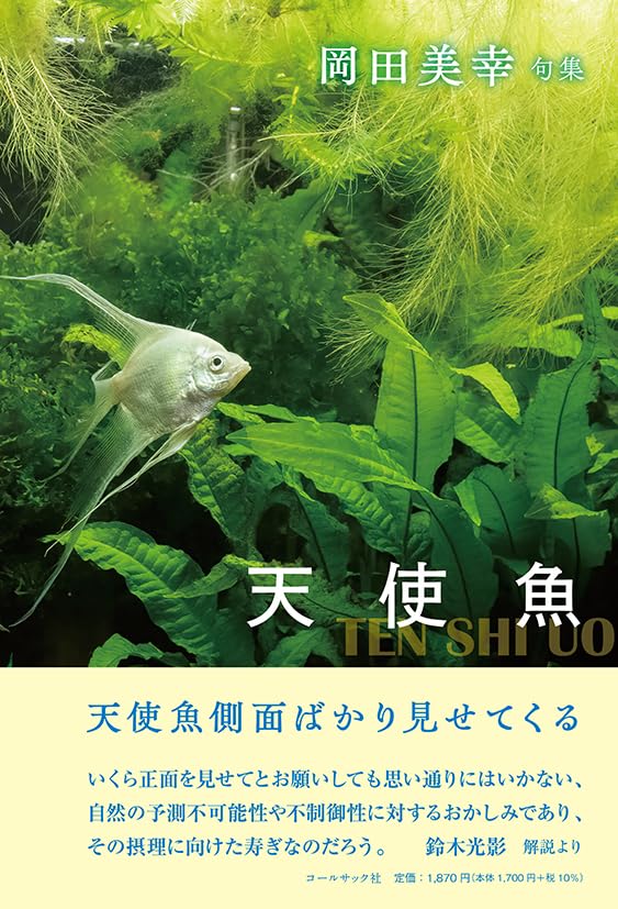 【中古】魚目句集 今日古本屋で見つけて買った「釣り魚図典」が面白い！ボクは全然釣りを